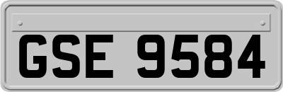 GSE9584