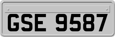 GSE9587