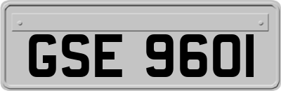 GSE9601
