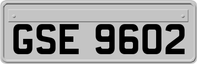 GSE9602