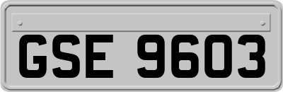 GSE9603