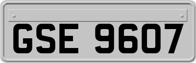 GSE9607