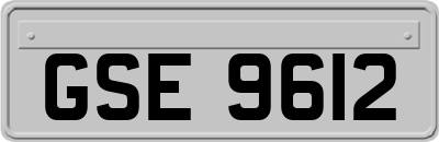 GSE9612
