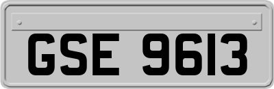 GSE9613