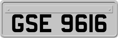 GSE9616