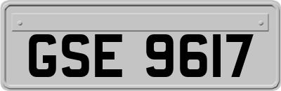 GSE9617