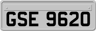 GSE9620