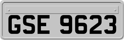 GSE9623