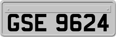 GSE9624
