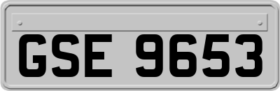 GSE9653