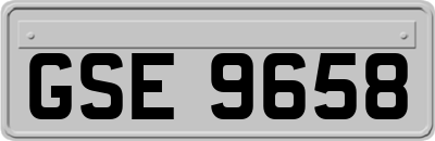 GSE9658