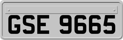 GSE9665