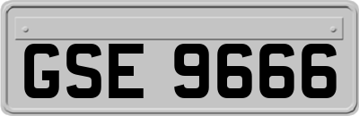 GSE9666
