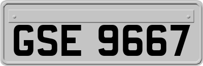 GSE9667