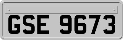 GSE9673