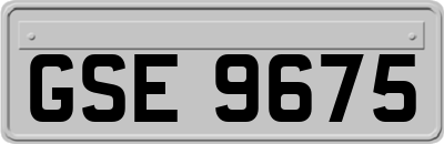 GSE9675