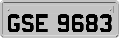 GSE9683