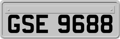 GSE9688