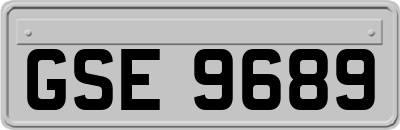 GSE9689