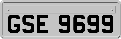 GSE9699