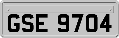 GSE9704