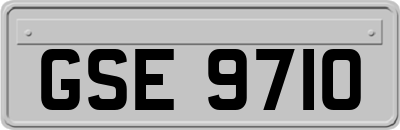 GSE9710