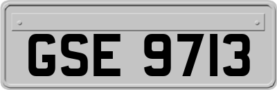 GSE9713