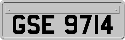 GSE9714