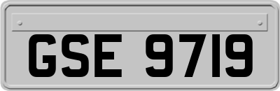 GSE9719