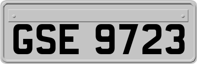 GSE9723