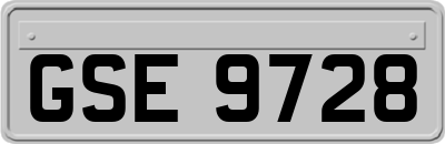 GSE9728