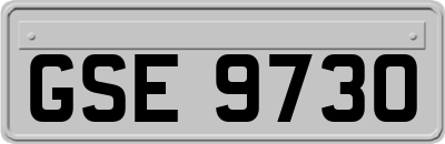 GSE9730