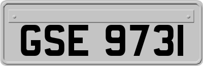 GSE9731