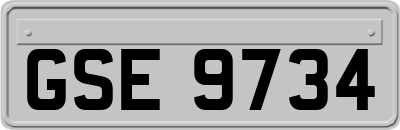 GSE9734