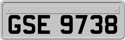 GSE9738