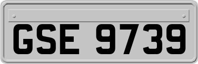 GSE9739
