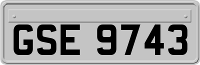 GSE9743