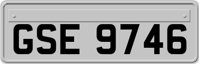 GSE9746