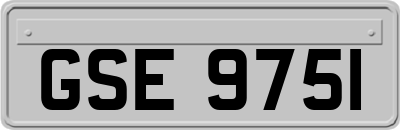 GSE9751