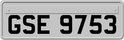 GSE9753