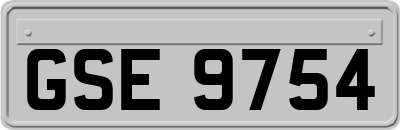 GSE9754