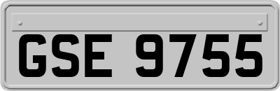 GSE9755