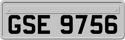 GSE9756