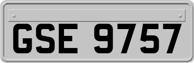 GSE9757