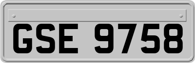 GSE9758