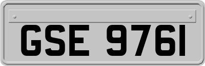 GSE9761