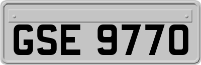 GSE9770