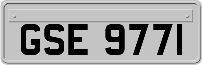 GSE9771