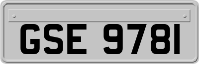 GSE9781