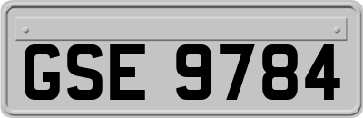 GSE9784